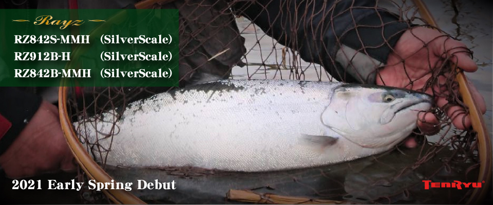 Rayz（レイズ）追加モデル